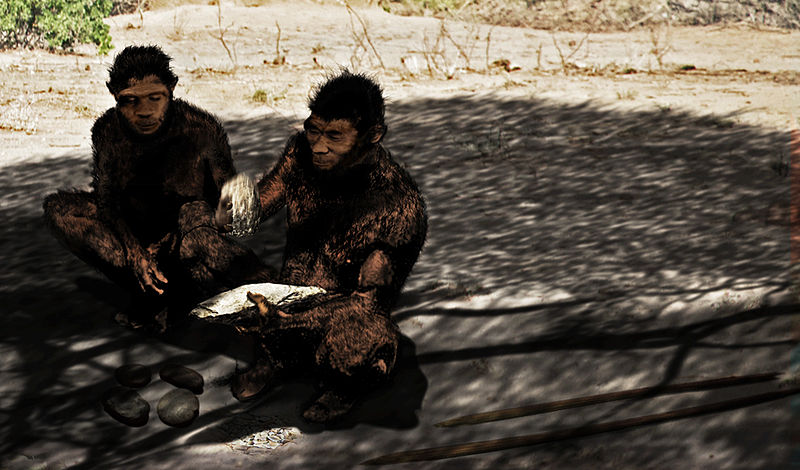 800px-Daka_Homo_erectus