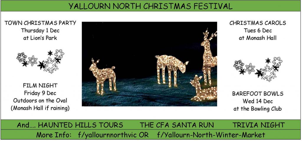 yn-christmas-festival-fb-image
