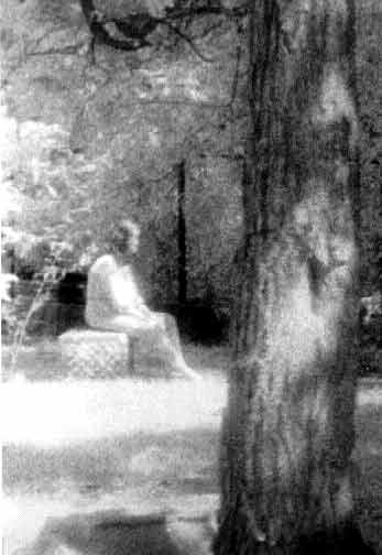 ghost_picture_17