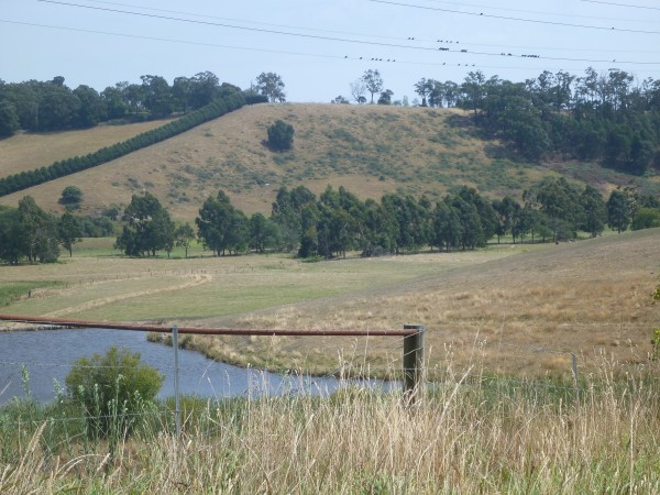 Haunted Hills, Hernes Oak, Paddocks, Gippsland, Latrobe Valley