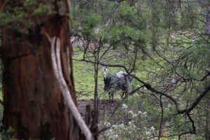 views from Moe - Yallourn Rail trail