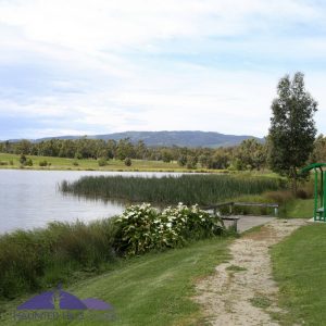 Churchill Victoria, Latrobe Valley, things to do, Ducks, Hyland park, ruins,