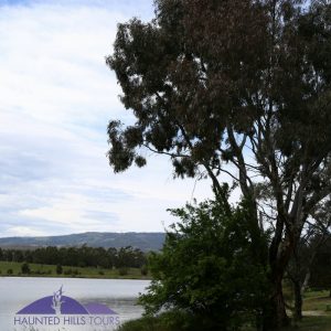 mathison-park-hyland-lake-gum-trees-jeeralangs-churchill-victoria