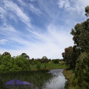 mathison-park-hyland-lake-small-dam