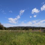 img_2633