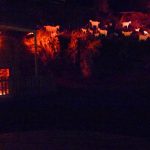 Walhalla Vjinterfest (winter festival) things to do in Walhalla