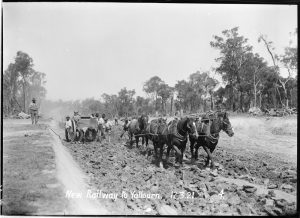 Gippsland line - Yallourn creation 1921 horses over rocks laying rail, historic moe- yallourn railline