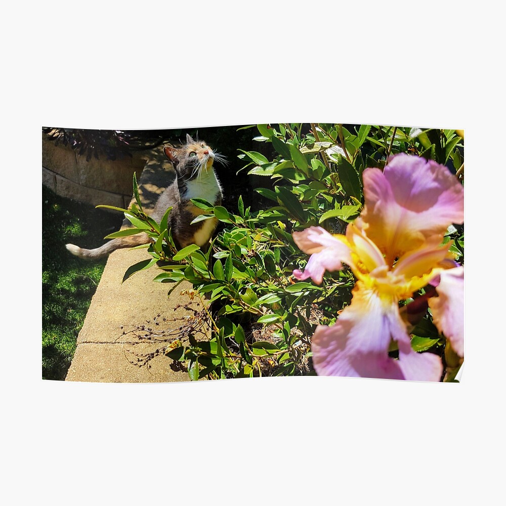 Angelic cat poster - Image 2