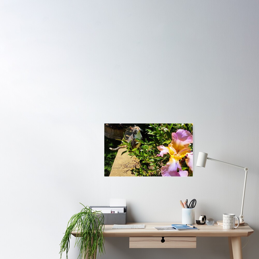 Angelic cat poster